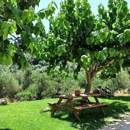 Casa vacanze Lily Home_lefkada ~ Private Kondaraíni